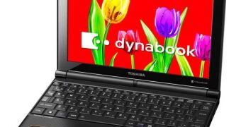 Toshiba releases Cedar Trail netbooks of its own