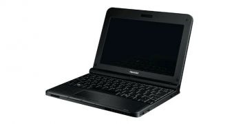 Toshiba will not launch any new netbooks in the US
