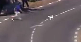 Dog makes it to track during Tour de France