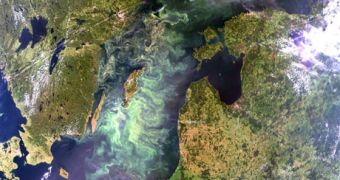 This satellite image of a Nodularia bloom comes from the Swedish Meteorological and Hydrological Institute (SMHI)