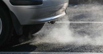 Study sheds new light on how traffic pollution affects public health