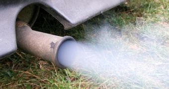 Asthma patients feel worse after they are exposed to traffic pollution and smoke from wood heaters