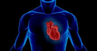 Study links air pollution to changes in the right ventricle of the human heart