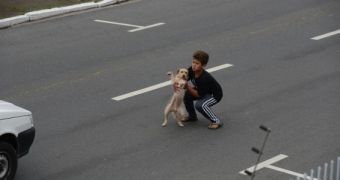 The boy runs in the middle of the street to rescue the injured animal