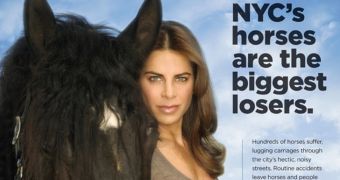 Trainer Jillian Michaels speaks up for carriage horses in New York