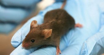 Transgenic Mice Can 'Smell' Light