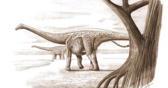 Artist's rendition of the Magyarosaurus dacus dwarf dinosaur species