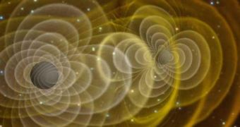 Black holes distort space-time (yellow lines) and emit gravitational waves as they spiral towards each other