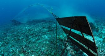 Researchers say bottom trawling can harm marine ecosystems beyond repair