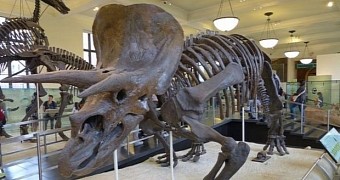 Triceratops could grow to measure 9 meters (30 feet) in length