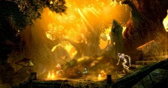 Trine Enchanted Edition Beta for Linux Now Available