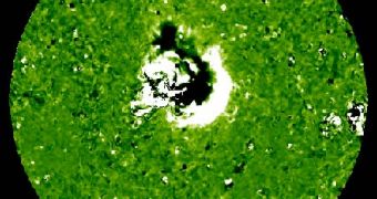 Image of a solar tsunami sweeping across the surface of the Sun