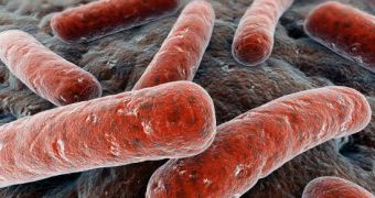 Researchers say tuberculosis emerged in Africa some 70,000 years ago