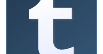 Tumblr has grown several times in the past year