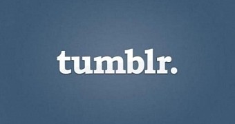 Tumblr sets eyes on the bigger picture