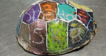 Turtle Sporting Nail Polish and Glitter on Its Shell Rescued by Conservationists