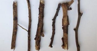 A set of six twigs could be the most useless thing ever sold on the auction site