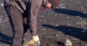 Thomas Tobin clears sand from around the fossil of a giant ammonite he found in 2009 on James Ross Island in Antarctica