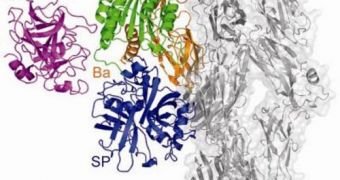 Two Key Transient Enzyme Complexes Analyzed
