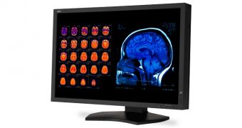 Two New NEC MultiSync Medical-Grade Monitors Will Launch in 2013