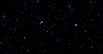 The red dot at the center of this image is the first near-Earth asteroid discovered by NASA's new WISE telescope