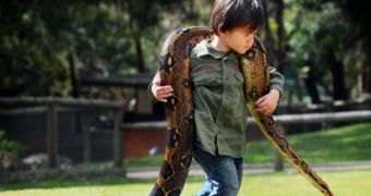 Young boy shows no fear towards dangerous animal species