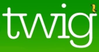 Typepad introduces new "Twig" ads