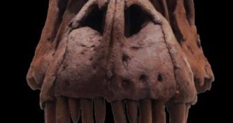 L. argestes featured forward-looking eyes and a narrower snout than its descendant, the T. Rex
