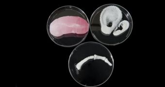 3D-printed ear, finger bone and kidney scaffolds