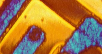 Bipolar transistor - microscopic view