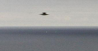 UFO photograph is Snowden leaks is actually a seagull