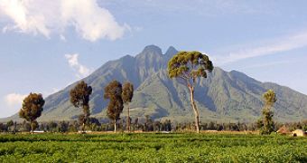 Congo might allow oil exploration to take place in the Virunga National Park