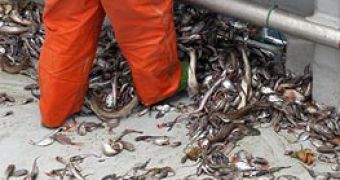 Fish discarding will soon be banned