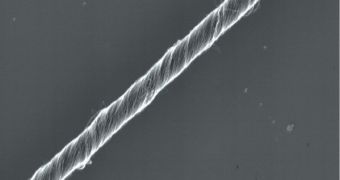 Carbon nanotube fiber