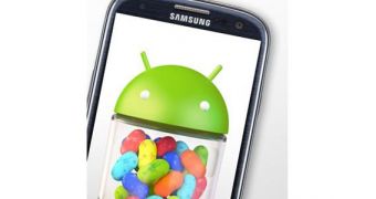 Samsung Galaxy S III and Jelly Bean logo