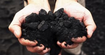 Report says the US' annual coal exports have nearly tripled since 2005 until now