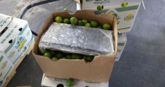 $2,065,000 (€1,517,378) worth of marijuana was found in lime boxes