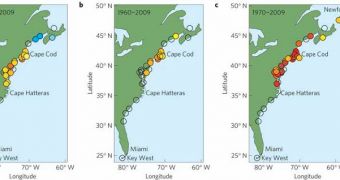 Chart series showing significant sea level rise along the US East Coast