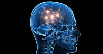 US NIH announces new round of grants for the BRAIN Initiative