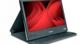 The Toshiba 14-inch USB-powered Mobile LCD Monitor