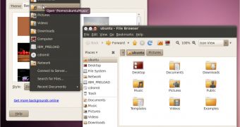 Light theme of Ubuntu 10.04 LTS