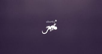 Ubuntu 13.10 wallpaper