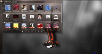 Ubuntu 13.10 desktop