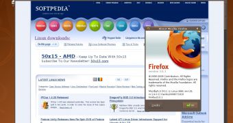Ubuntu 8.10 Alpha 3 showcasing Firefox 3.0.1