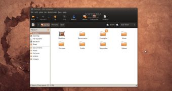 Ubuntu 9.04 with the Dust theme and the new notifications