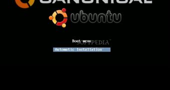 Ubuntu Moblin Remix Developer Edition boot screen