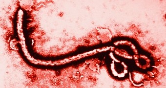 The Ebola epidemic is still ongoing