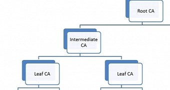 Digital certificate hierarchy