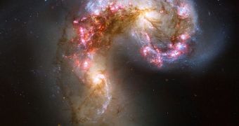 The Antenna Galaxies represent one of the most renowned instances of galactic mergers going on today