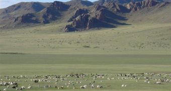 Mongolian rangelands and their response to climate change are the topic of a CNH grant